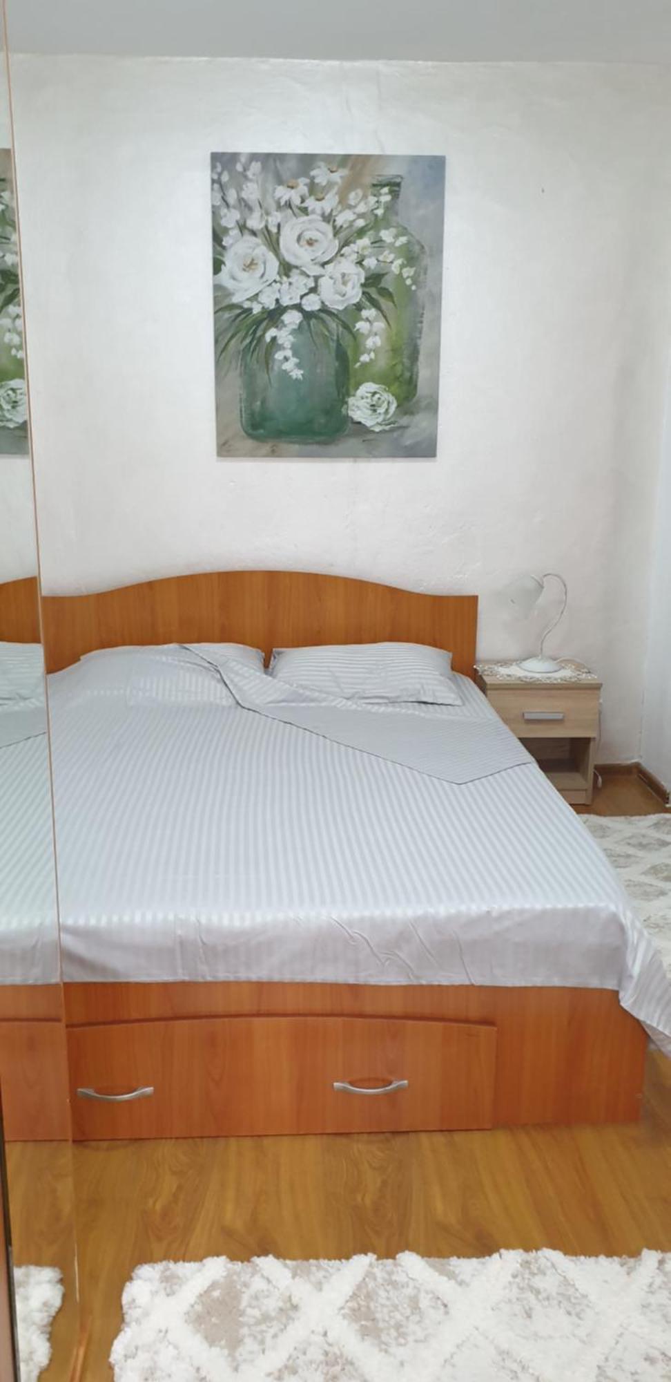 Elena Apartment Orsova Ngoại thất bức ảnh