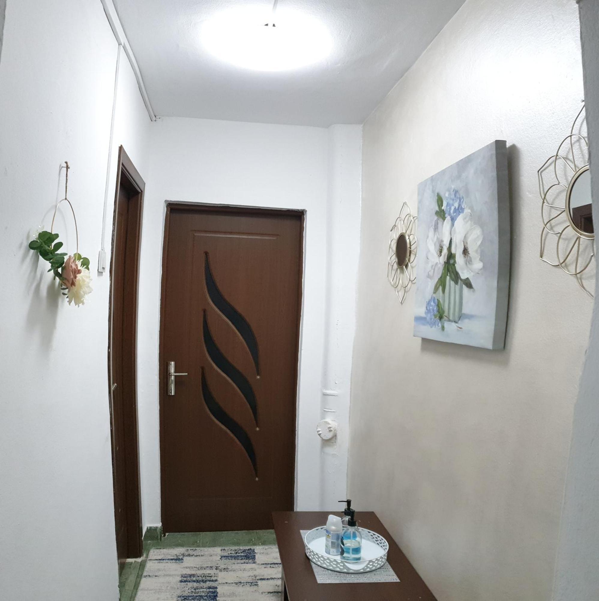 Elena Apartment Orsova Ngoại thất bức ảnh